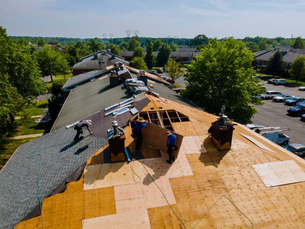 Best Roof Maintenance Services  in West Liberty, IA