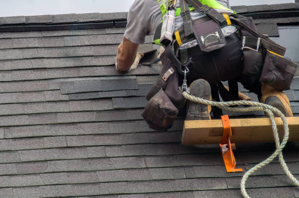 Best Roof Gutter Cleaning  in West Liberty, IA